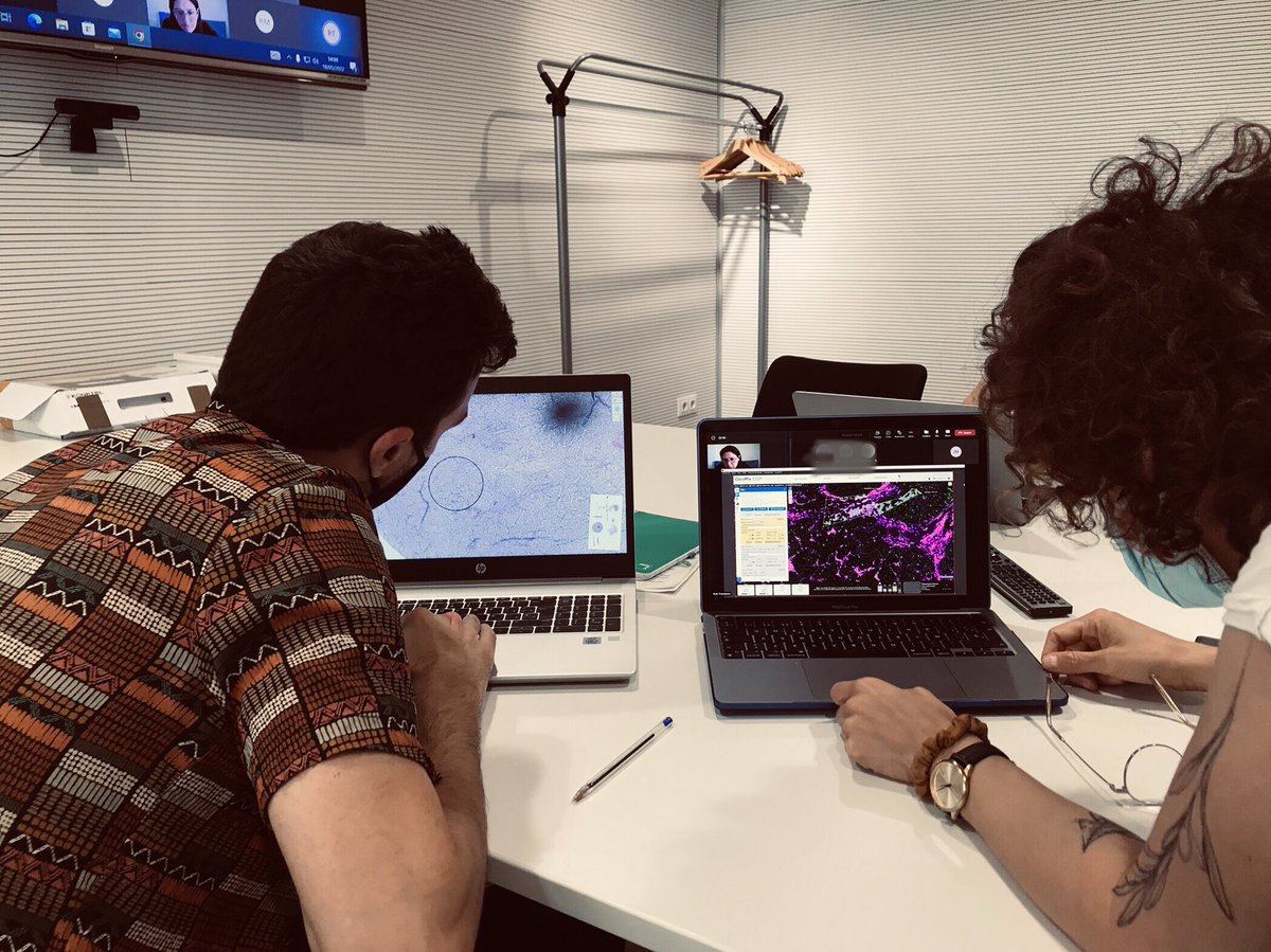 quimmateo's tweet photo. Our lab’s first go at spatial transcriptomics - bone mets and PDX from #prostatecancer patients. Lots to learn- looking forward to this adventure. @Niko_Herranz @TerrerosSarai and Sara Simonetti @PathologistsCom https://t.co/OfdrJMvBA3