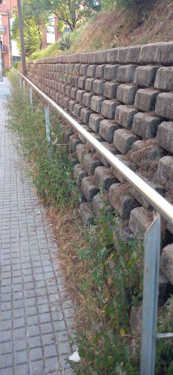 RcsPablo's tweet photo. @AjRubi Estaría bien que fuese en toda la ciudad.
Carrer de l'0r https://t.co/IZaiQGnJQ6