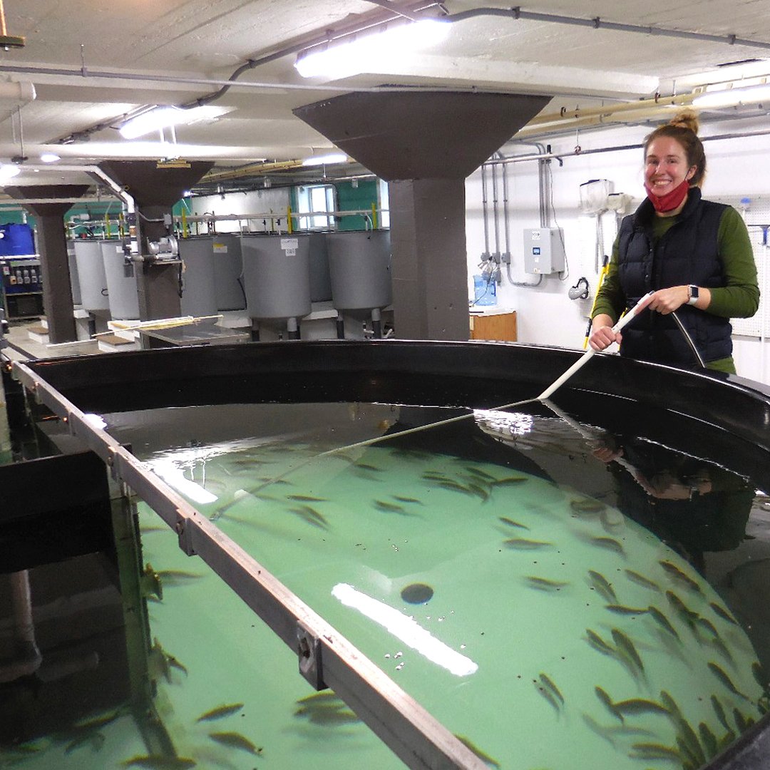 We will be offering our Aquaculture Entrepreneur Program this fall. The program is designed for those who are interested in developing their aquaculture business idea into a workable action plan. 📚🎣 #nextgenfarming #sustainability #sustainabledesign