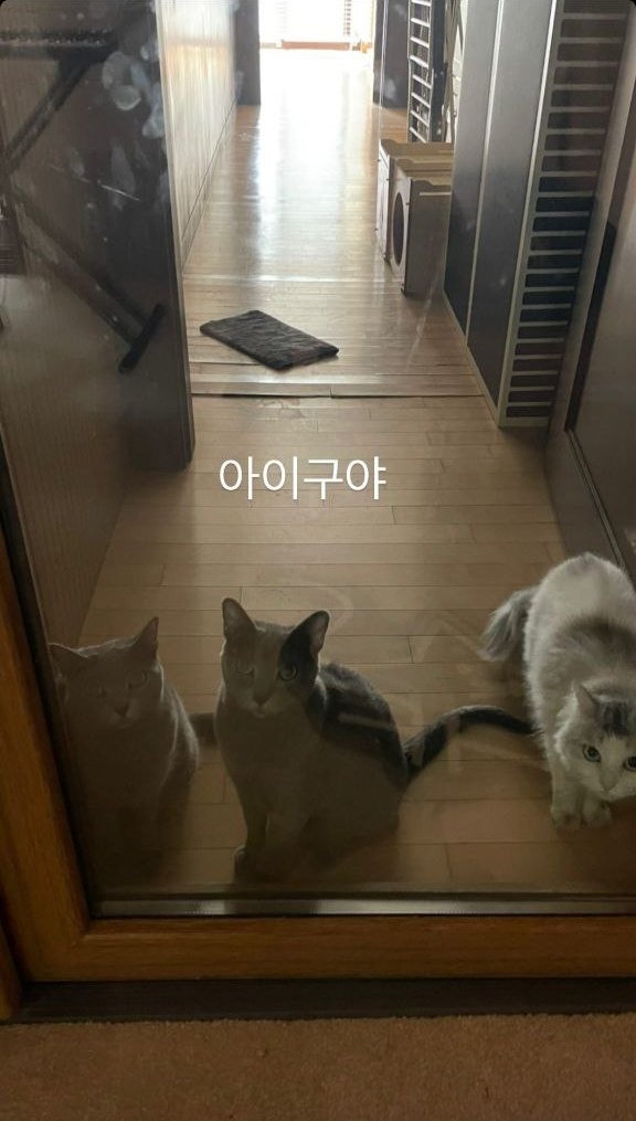 Xeno_T_ita's tweet photo. 220430~ #Khyo Instagram stories
#Kidoh #aomg #toppdogg https://t.co/bSKTYdtmTu