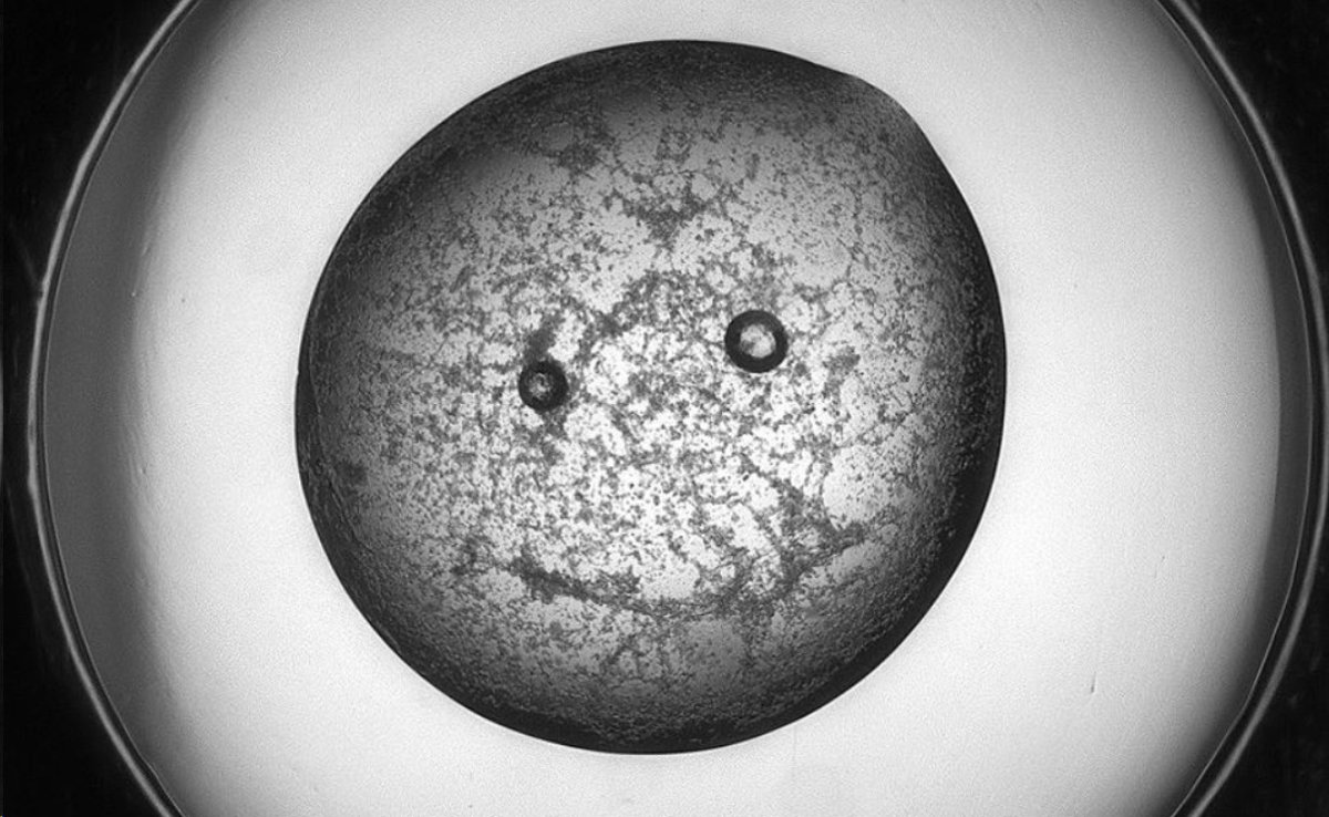 JWSallmenII's tweet image. All this time I've been looking for crystals of my proteins, but maybe I was just waiting for them to look for me