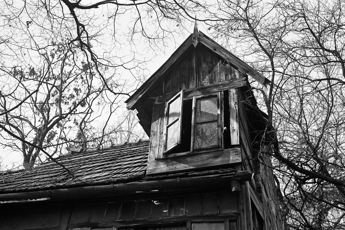 WhenInDoubtC4's tweet image. My first ever analog photography #NFT collection
Price: 0.05 ETH
Collection: opensea.io/collection/wid…

#NFTs #NFTCommumity #nftphotography #OpenSeaNFT