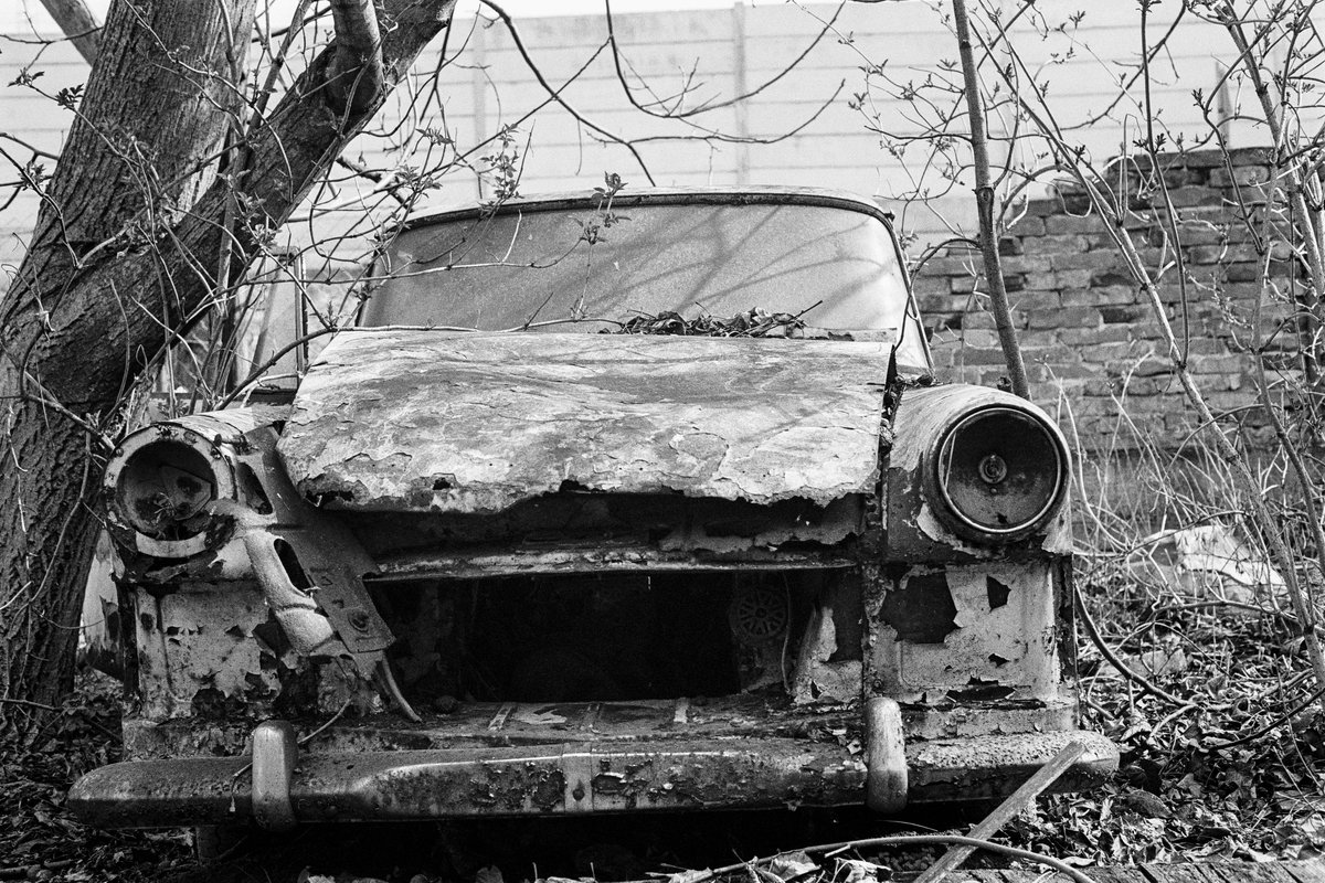 WhenInDoubtC4's tweet image. My first ever analog photography #NFT collection
Price: 0.05 ETH
Collection: opensea.io/collection/wid…

#NFTs #NFTCommumity #nftphotography #OpenSeaNFT