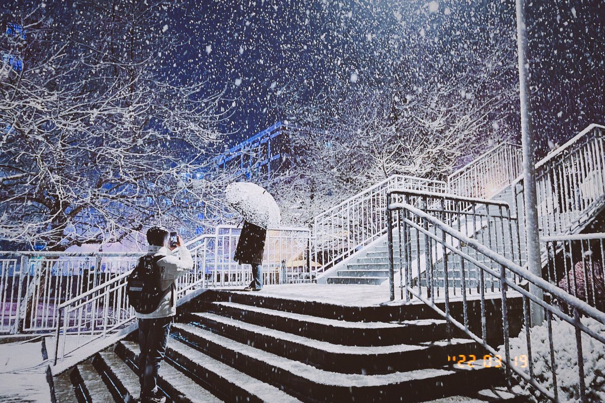 youngreenoli's tweet photo. 🌹🌷🌺❄️ https://t.co/vTqeirm2SO