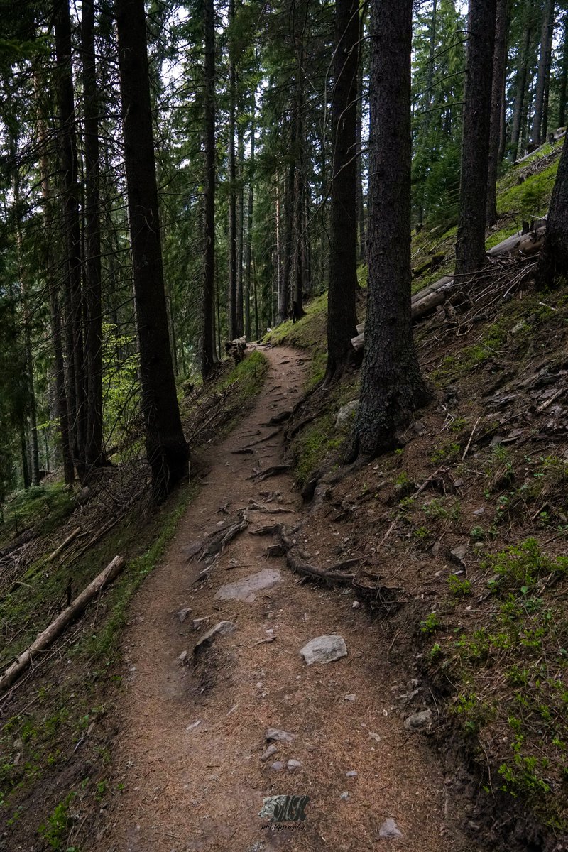 Nature and animals / Bulgaria (@chilikov91) on Twitter photo 