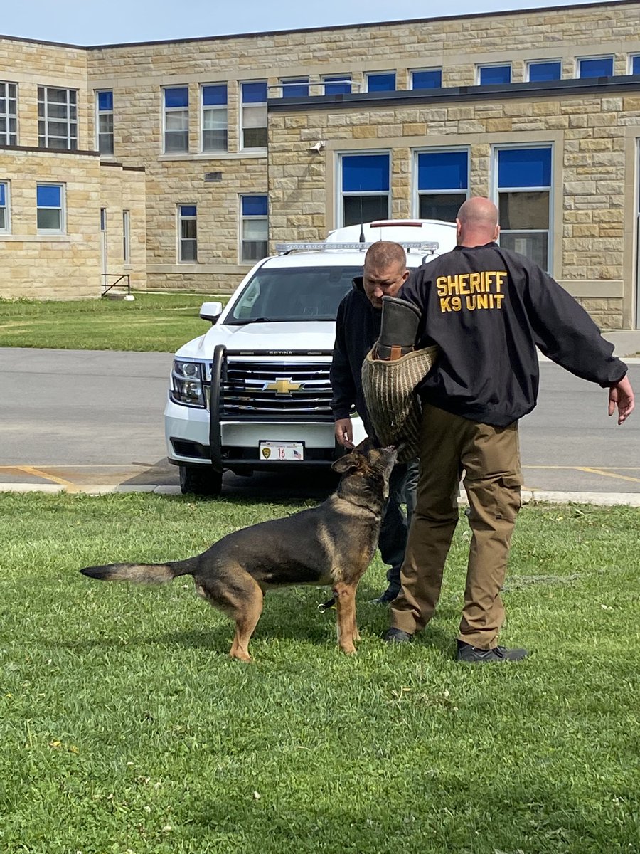 mw_sro's tweet photo. Thank you to the YCSO and Deputy Betts and Deputy Jensen along with Ribo and Kinne for their K9 demonstration this morning for our UPK kids at Marcus Whitman! https://t.co/rBUItiKtIh