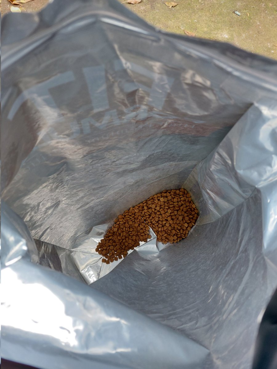 madi_tol's tweet photo. Amigos ya no nos queda comida, me da mucha pena cuando les toca comer arroz cocido ☹️ 
RUEGO AYUDA
DIFUNDIR PARA LLEGAR A MÁS PERSONAS POR FAVOR
@carolinapinoc @OjitosLindos160 @DelSurChileno @thecrow_1980 @KaMunzenmayer @iritas1117 @DiaztabitaE @alebaham @Janno_Montano
RT RT RT https://t.co/tsecEGkv2B