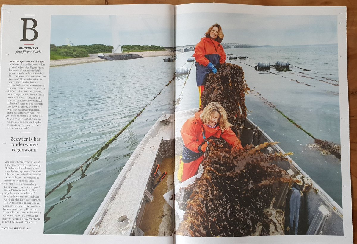 A last message to our supporters, customers, colleagues, consumers and followers. 🌊As we hand over the steering wheel to the new owner of <a href="/zeewaar/">Zeewaar</a> , we Thank You for being with us on our mission to put sustainable Seaweed cultivation on the map in the EU. Jennifer &amp; Rebecca 🙏💙
