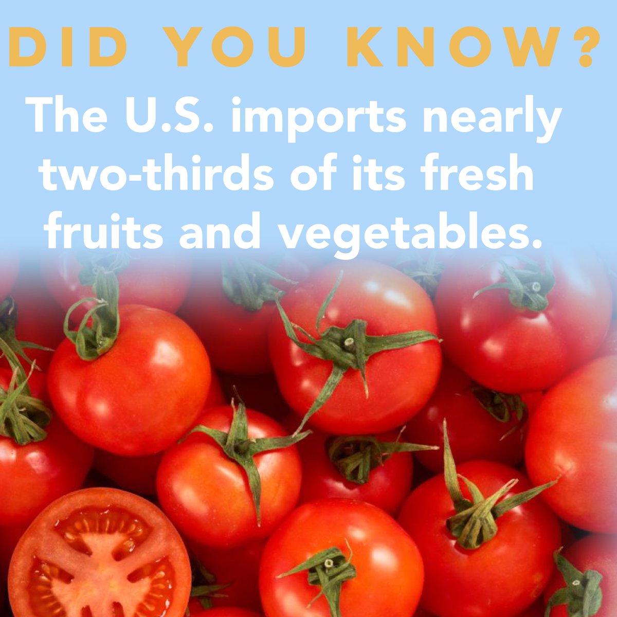 Flyover_US's tweet image. While the U.S. may import a lot of its fruits and vegetables, @appharvest is on a mission to change that. 

Learn about what AppHarvest is doing to provide Flyover Country residents with fresh, local fruits and veggies on the Flyover Podcast:

flyovercoalition.org/podcast/episod…