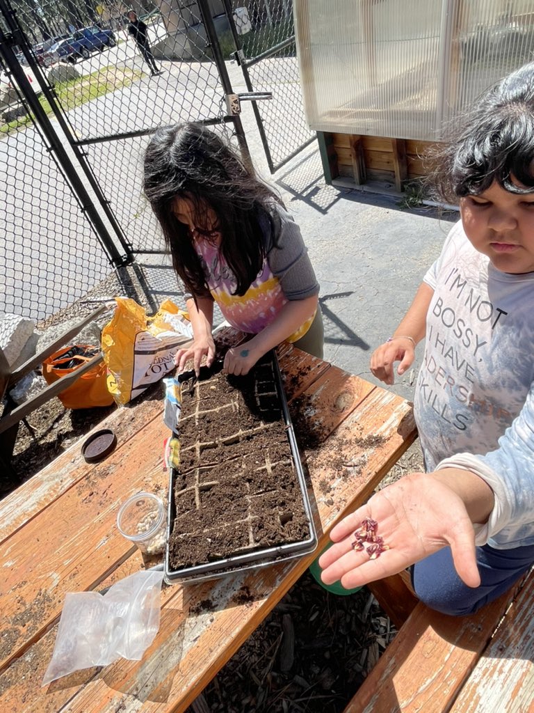 Bijou_Community's tweet photo. 3rd graders spent some time gardening today!🌱🪴 Alumnos de 3o pasaron tiempo en el jardín hoy! #weareLTUSD #Bijoupride https://t.co/2P6LJSLLJ7