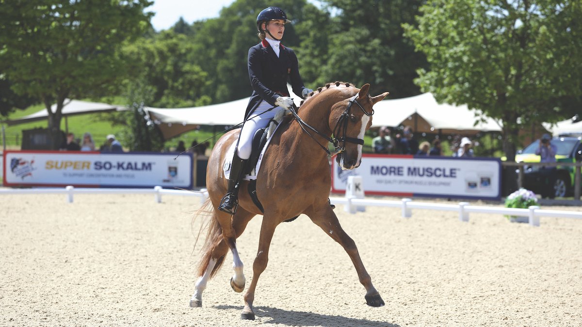 horseandhound's tweet photo. ‘Pumpkin's perfect!’: Annabella Pidgley and Gio win their first under-25 grand prix https://t.co/ZIa8lGkjCF https://t.co/qIn5Wdr3zV