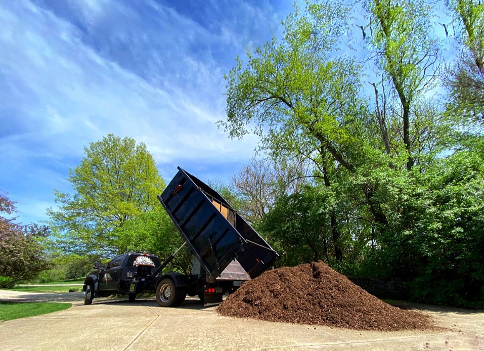LumberjacksInc's tweet photo. Weather looks great this week !! ☎️ me.
#mulch #mulching #crystallakeillinois #crystallakeil #huntleyil #lakeinthehillsil #caryil #barringtonil #woodstockil #algonquinil #mchenrycounty #mchenrycountyil #mchenryillinois #richmondil #harvardil  #garden #gardendesign https://t.co/4CrwQfDx0H
