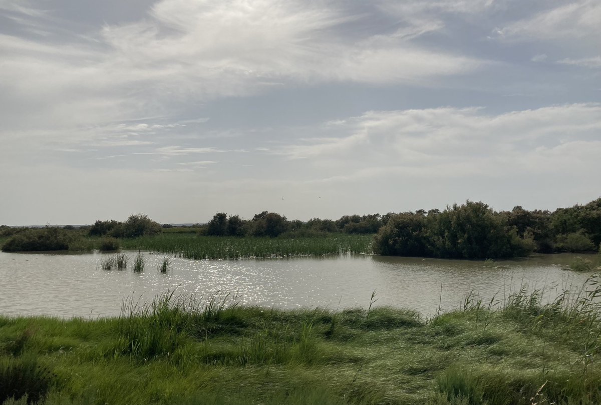 Good Stuff International tweet media