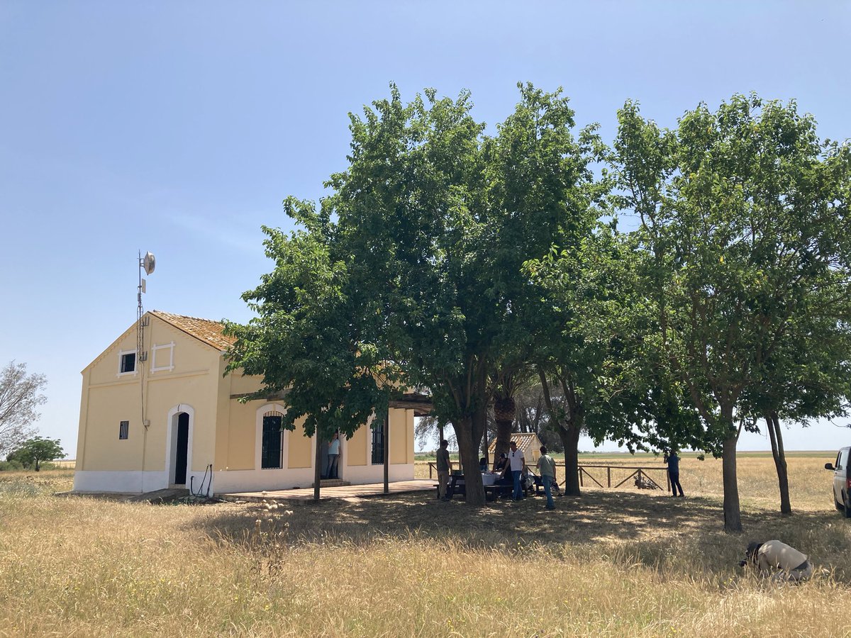 Good Stuff International tweet media