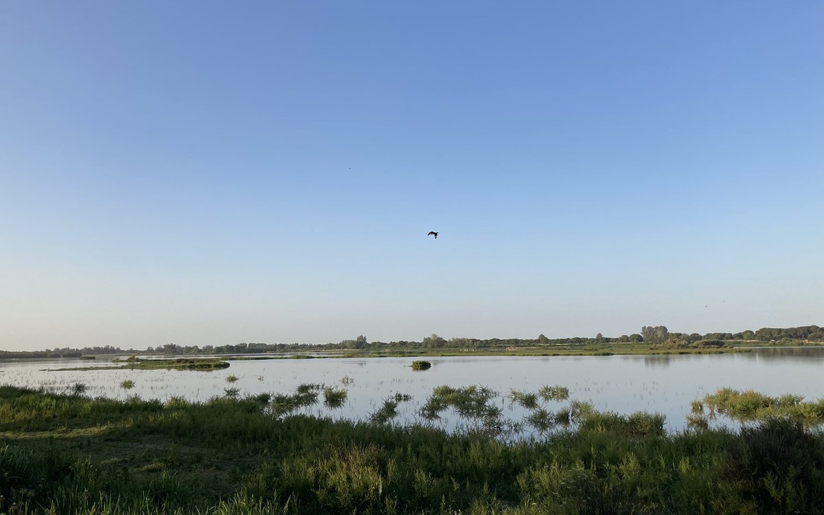 From the heart of #Doñana national park 🦩, workshopping with @Iberhanse_N <a href="/WWF/">WWF</a> &amp; #edeka planning actions on #waterstewardship, innovative #water solutions and #collectiveaction at the #catchment level. #connecting with great people on the ground in such an amazing location!