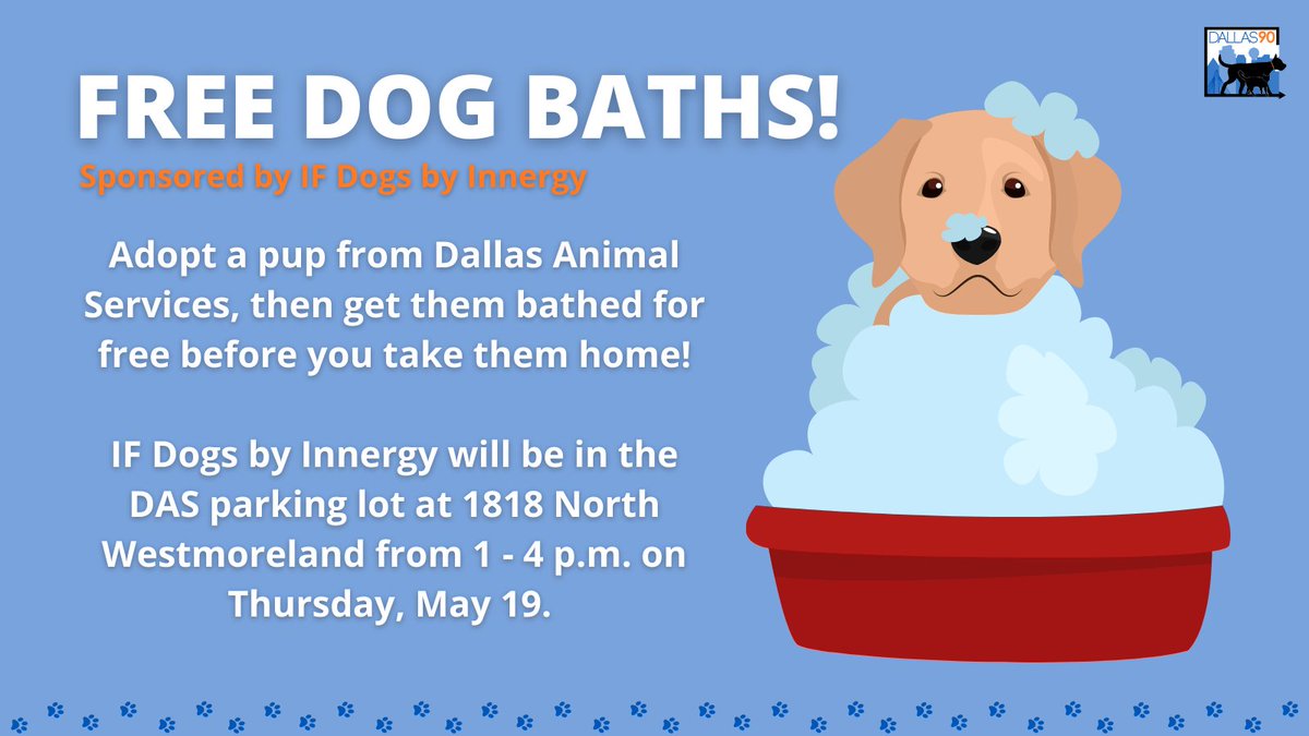 Dallas Animal Services tweet media