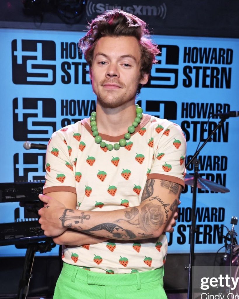 Harry on The Howard Stern show