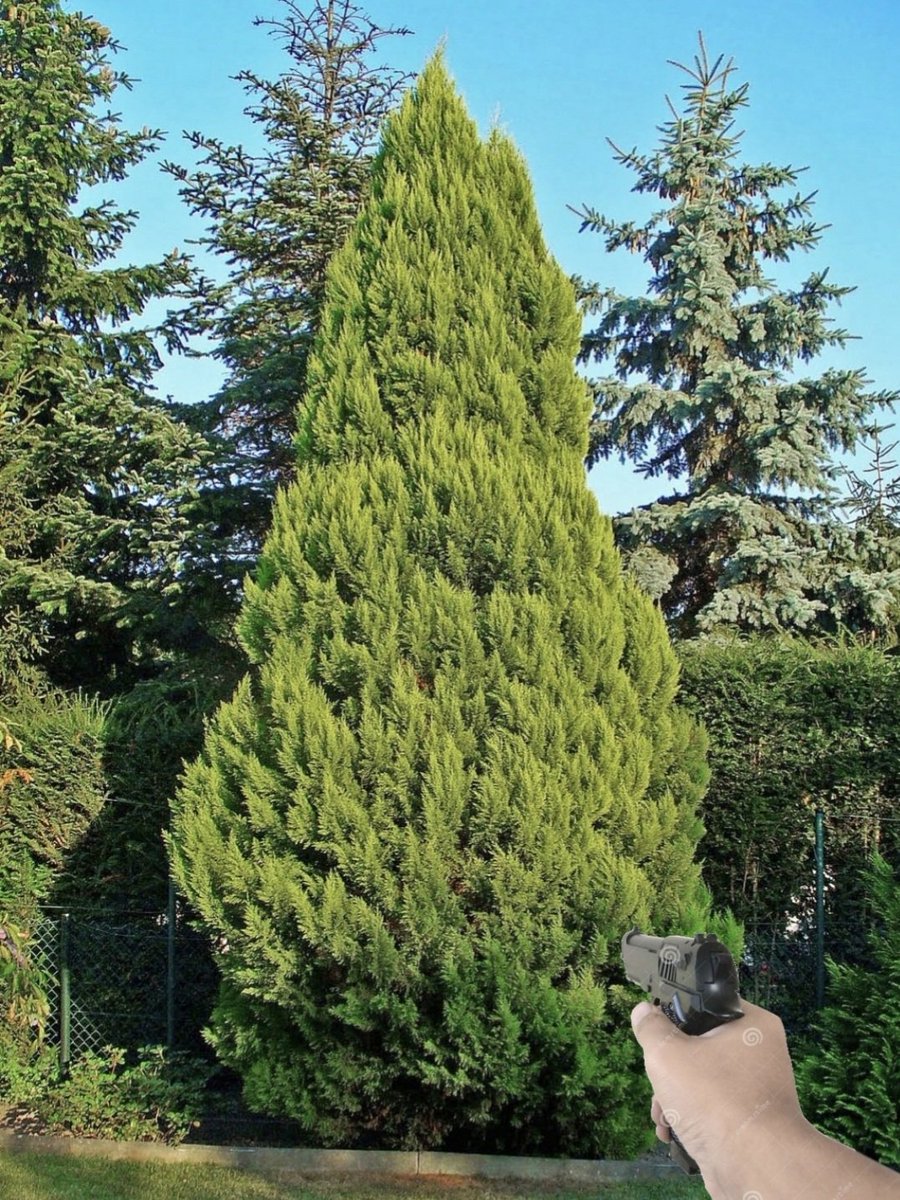 yago (yago) (@yago0_o) on Twitter photo 