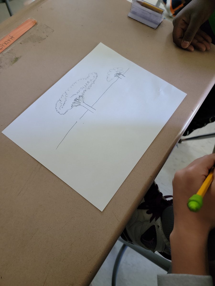 Elizabeth Schell tweet media