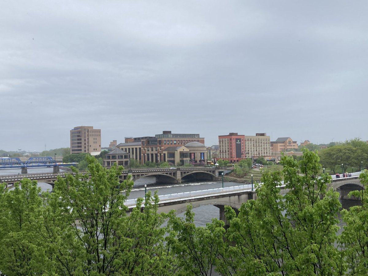 It’s a rainy day in Grand Rapids! Stay dry and come see me in DeVos Place River Overlook C at 2pm for my talk on frog parasites and acoustic signaling! Lots of cute frog pictures guaranteed 🐸 #JASM22 #JASM2022