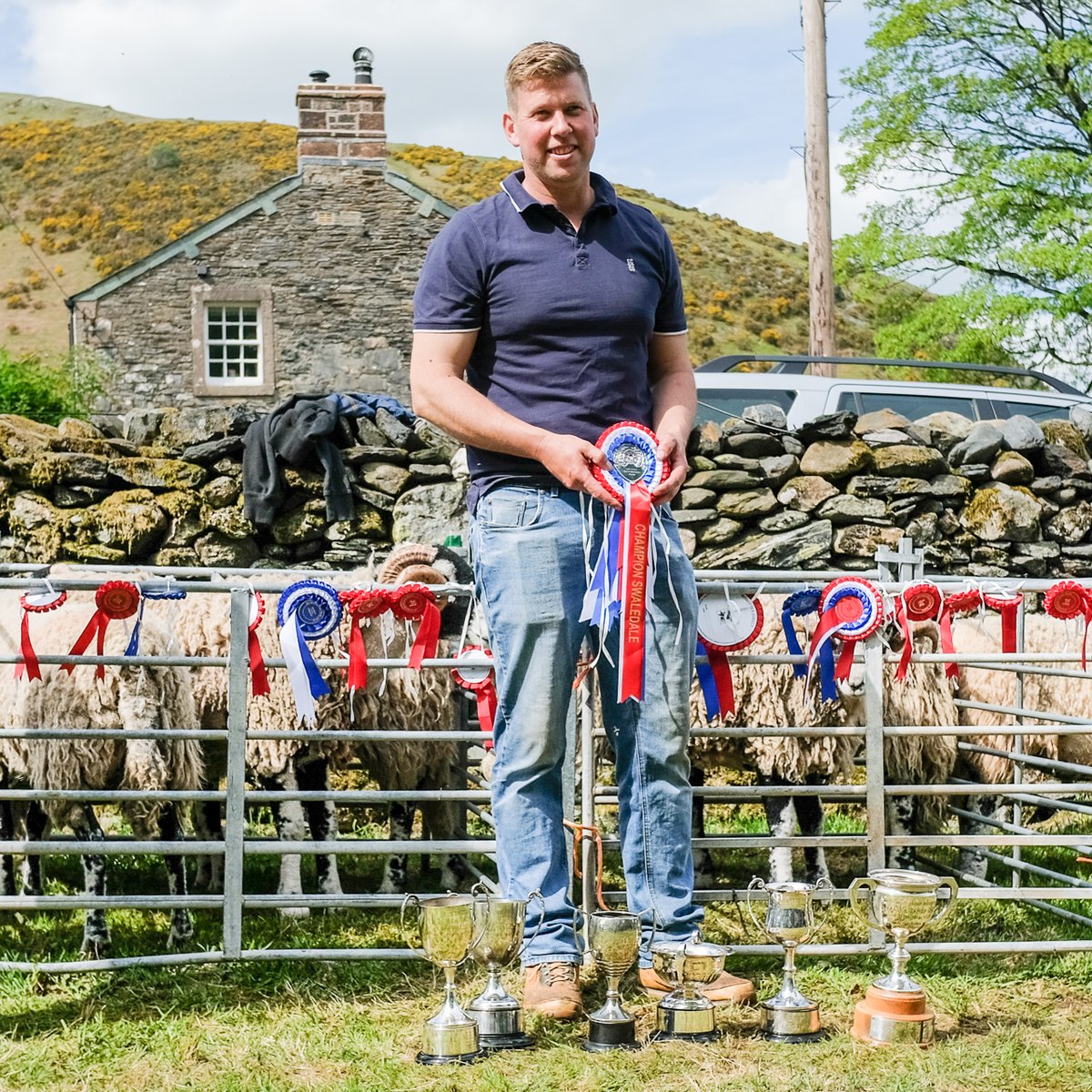 billplumtree's tweet photo. Congratulations to the Lightfoots of Gillside Farm, Glenridding - they swept the board at Mungrisdale show today. With male, female and hogg champions, they won every cup going   #SheepOfTheDay https://t.co/RE9mewK6Hj
