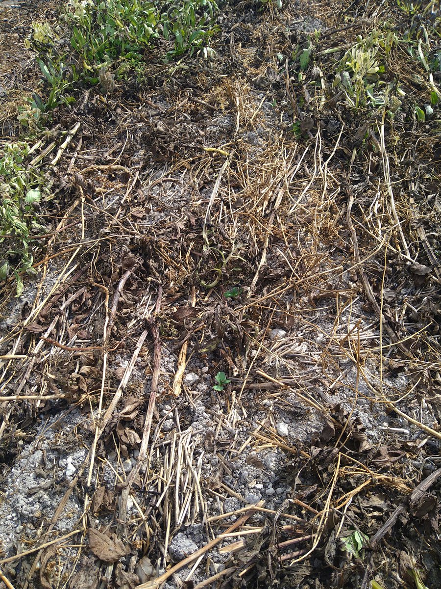 Astrid MORDON tweet media