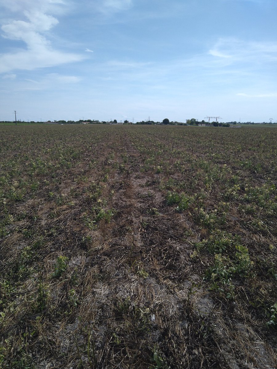 Astrid MORDON tweet media