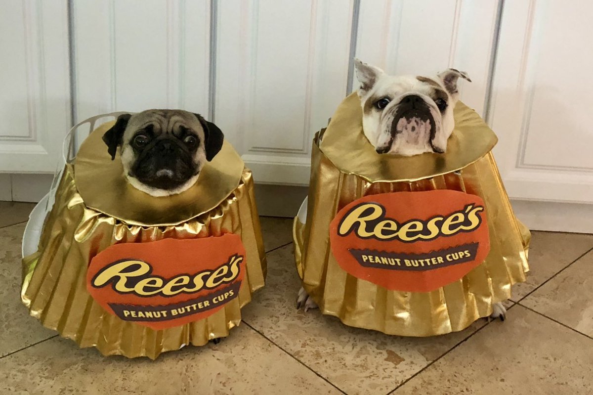 LoulouHoltz's tweet photo. There is a million Reeseโs why you are the best!
Have a chocolatey, peanut butter, delicious day ๐ซ๐ซ๐ซ
๐ฅฐ
#ilovereesesday #reeses #reeses #reesecups #hershey https://t.co/tcZOFKjRLy