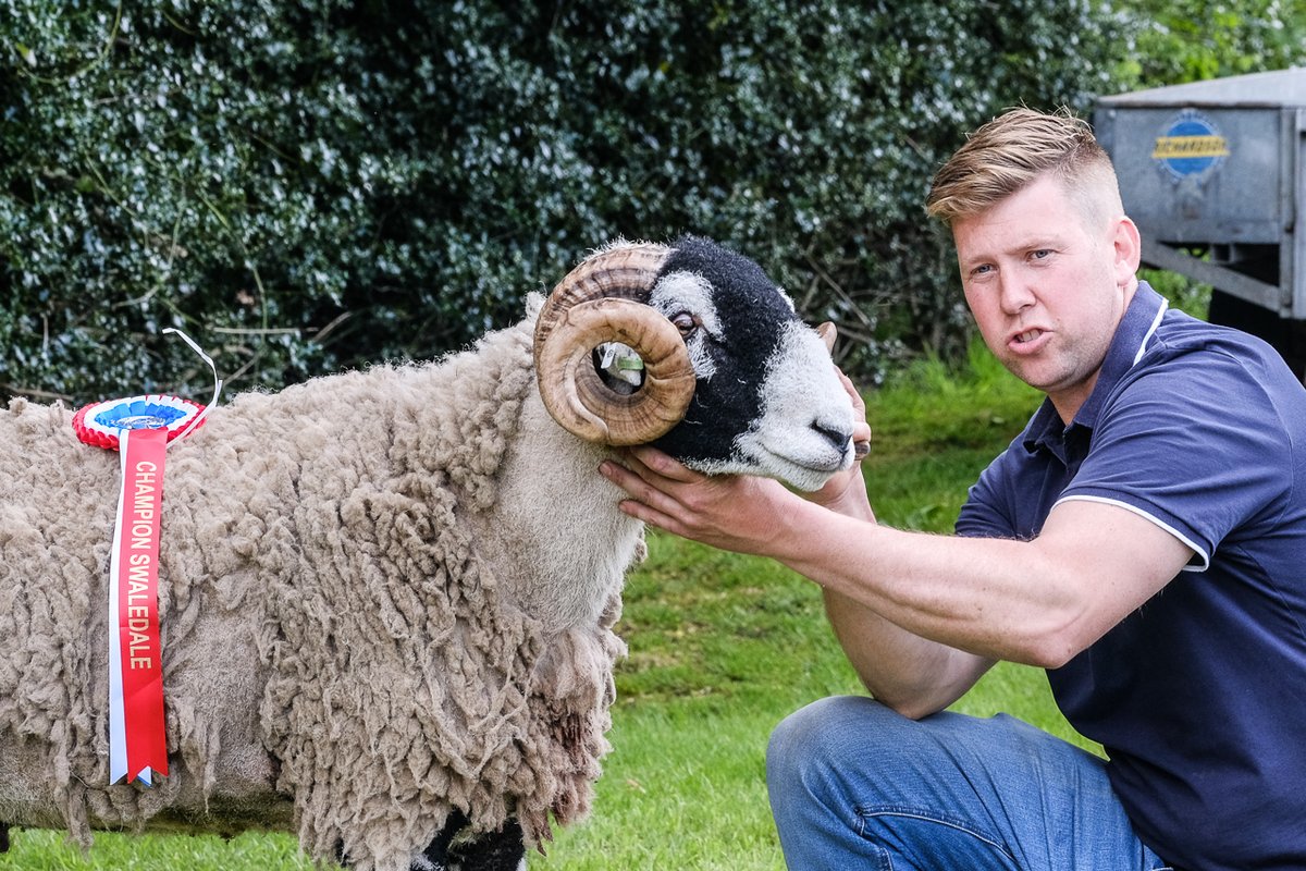 billplumtree's tweet photo. Congratulations to the Lightfoots of Gillside Farm, Glenridding - they swept the board at Mungrisdale show today. With male, female and hogg champions, they won every cup going   #SheepOfTheDay https://t.co/RE9mewK6Hj