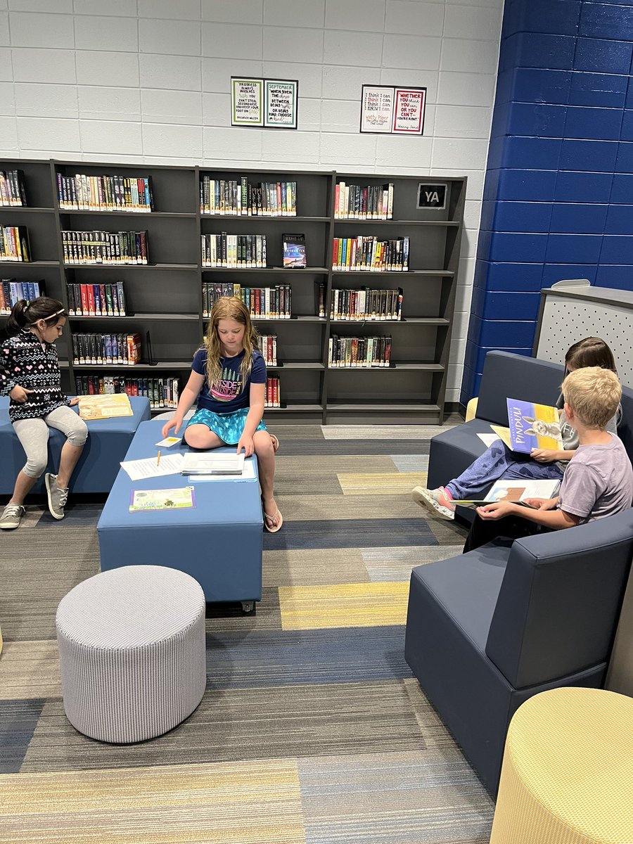 Alyson Collins tweet media