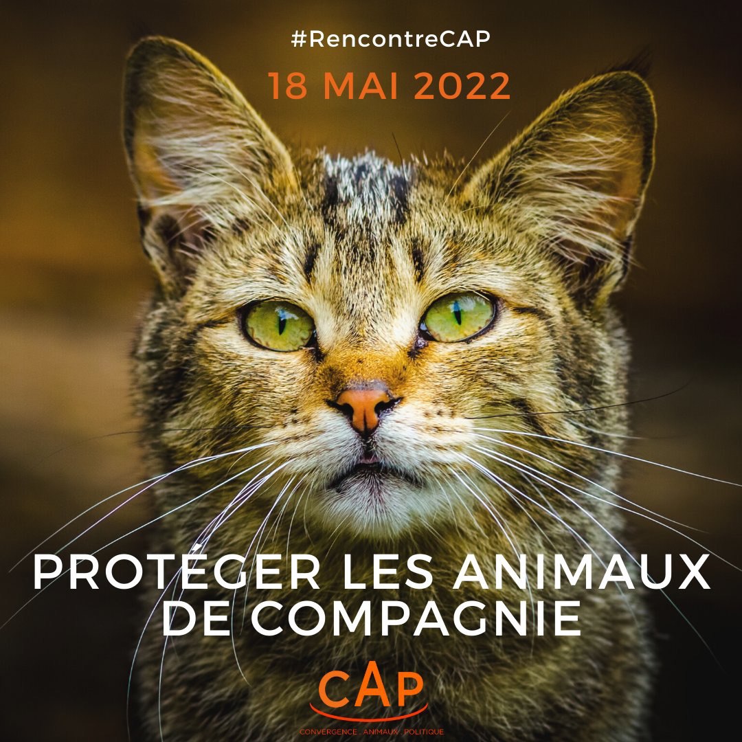 Samantha Cazebonne tweet media