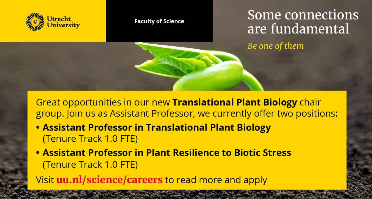Guido Van den Ackerveken (@guidopmi) on Twitter photo Two tenure track positions available in my new group âTranslational Plant Biologyâ. Starting July I will be spinning out of the PMI group to create and lead this new TPB team at <a href="/UniUtrecht/">Utrecht University</a>. Be part of <a href="/UU_Plants/">UU_Plants</a> and join our team. Please RT or forward to excellent candidates. Two tenure track positions available in my new group âTranslational Plant Biologyâ. Starting July I will be spinning out of the PMI group to create and lead this new TPB team at <a href="/UniUtrecht/">Utrecht University</a>. Be part of <a href="/UU_Plants/">UU_Plants</a> and join our team. Please RT or forward to excellent candidates.