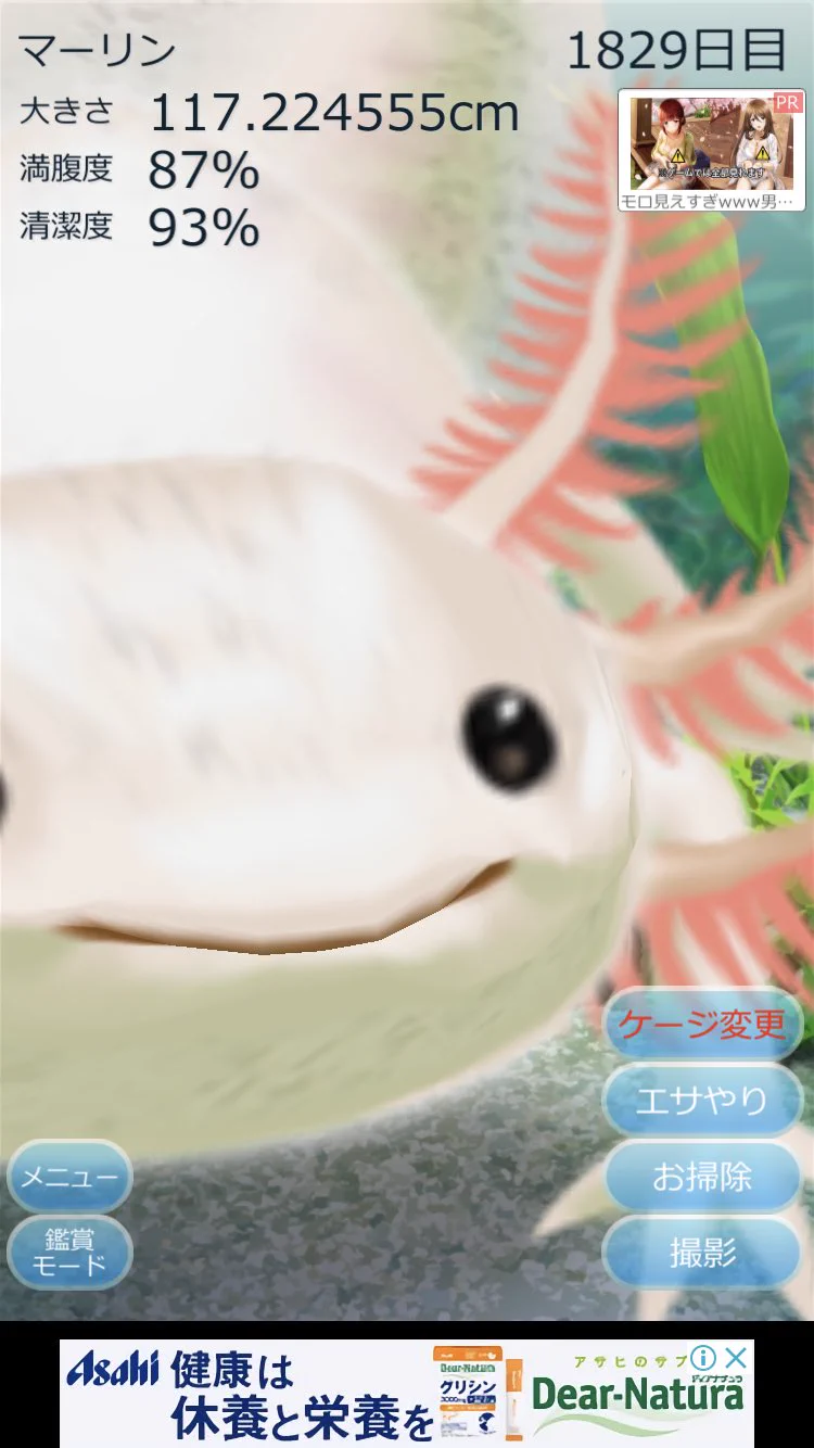@Kuronohanahana クラゲではないですが、ウチのウーパールーパーもといマーリンです。
お納めください。
大きくなりすぎて普段はお顔が見えません。 