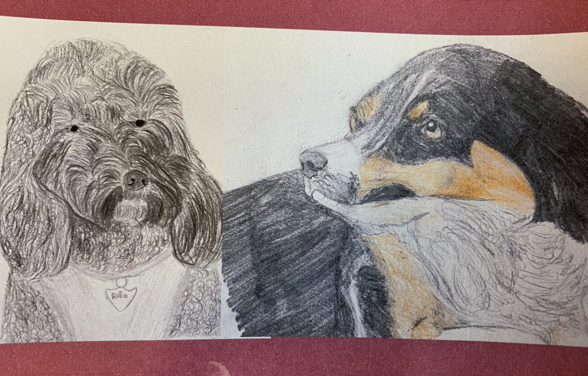 Wonderful drawings of <a href="/MaisyRollo/">Rollo & Maisy</a> by a Year 6 pupil. This talented artist is selling his sketches as part of the current Enterprise project.