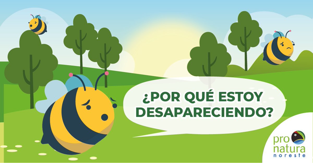 Pronatura Noreste tweet media