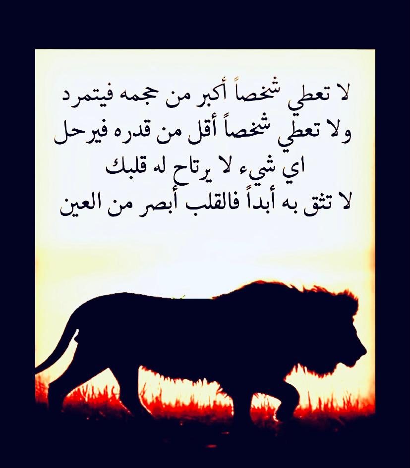 ابن جملاء (@abnjamla) on Twitter photo 