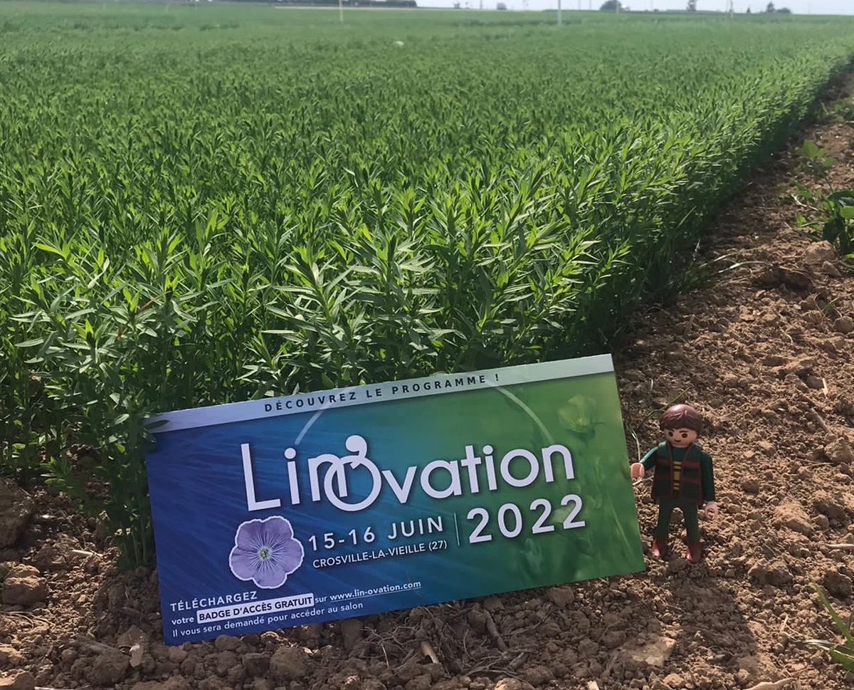 Les 15 et 16 juin prochains, la filière #Lin fibre sera en fête avec LIN’OVATION #linOvation  
à Crosville-la-Vieille (27). Ce salon rassemblera tous les professionnels passionnés !
Venez nombreux !

Plus d’infos sur :
lin-ovation.com