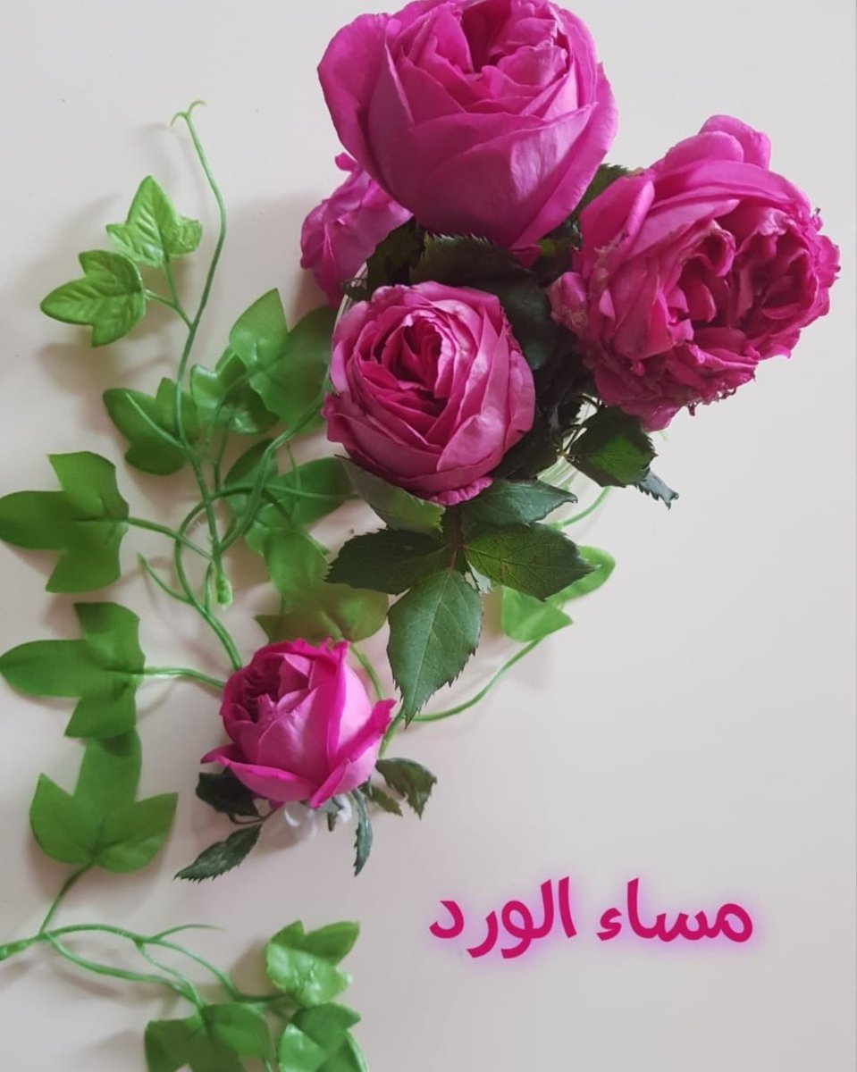 💝Haidy💝 tweet media
