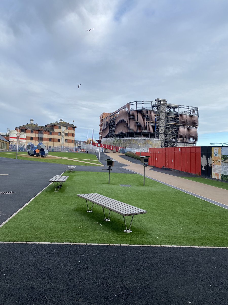 Dr Abigail Lowe 🐝🌸🧬 tweet media