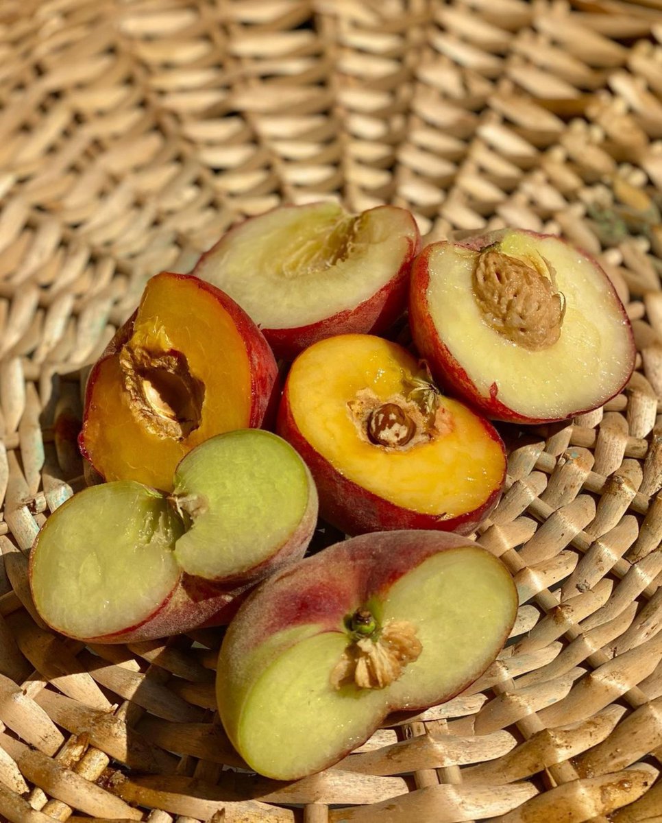 FarmersMarketLA's tweet photo. Repost from #RicksProduce: π Stonefruit season is starting! Come get these delicious Dinuba and #GalpinFamilyFarms Yellow, White, and Doughnut/Donut/Saturn Peaches! π #CAProduce #local #seasonal #doughnutpeach #saturnpeach #donutpeach π§π½βπΎ π©π½βπΎ https://t.co/3N06cUbOwY