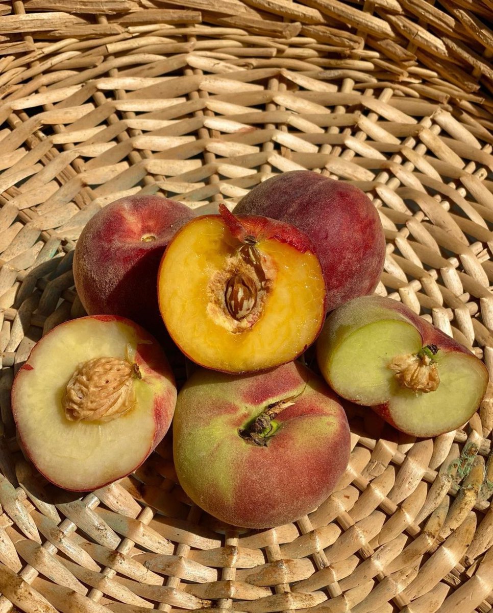 FarmersMarketLA's tweet photo. Repost from #RicksProduce: π Stonefruit season is starting! Come get these delicious Dinuba and #GalpinFamilyFarms Yellow, White, and Doughnut/Donut/Saturn Peaches! π #CAProduce #local #seasonal #doughnutpeach #saturnpeach #donutpeach π§π½βπΎ π©π½βπΎ https://t.co/3N06cUbOwY