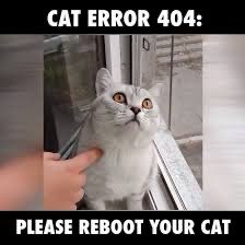 ellelljaytoo's tweet photo. Press cat for 3 seconds and release. #LeaveItFor 30 seconds. Cat should reboot to full capacity.
If cat remains frozen, please seek veterinary assistance.
#catsoftwitter 😽#catlife 🐈⬛ https://t.co/Uq0mQqQXOH
