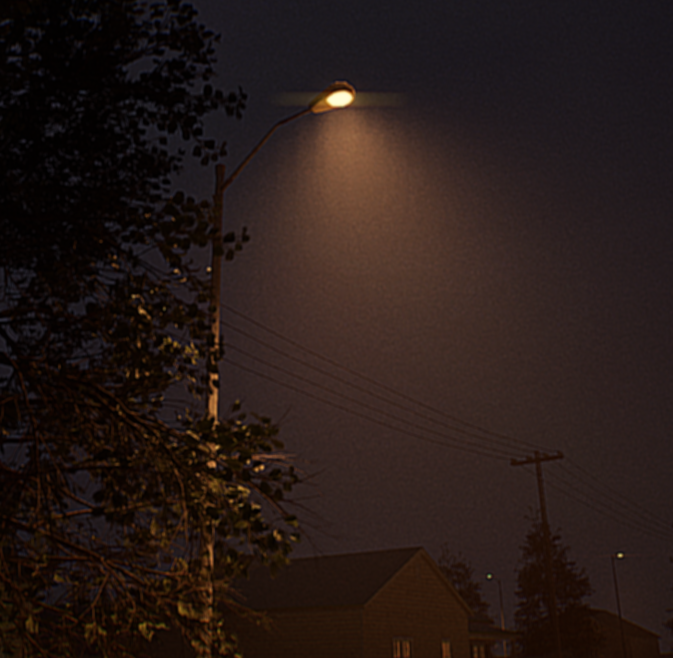 / Vini Cortez tweet media