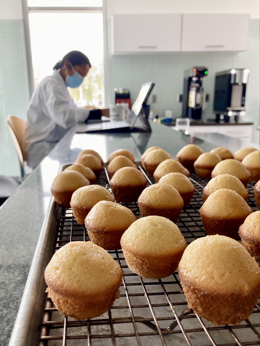 smartestkitchen's tweet photo. CSK product developers celebrate #WorldBakingDay practically everyday in our R&D kitchens, and are always good for sharing extra samples ~ thank you team! #WeKnowFood #BetterLateThanNever #LemonGlaze #MiniMuffins #WhatWeDoWednesday #CulinaryArt #ChefsAtWork https://t.co/qFJfvkxLW2