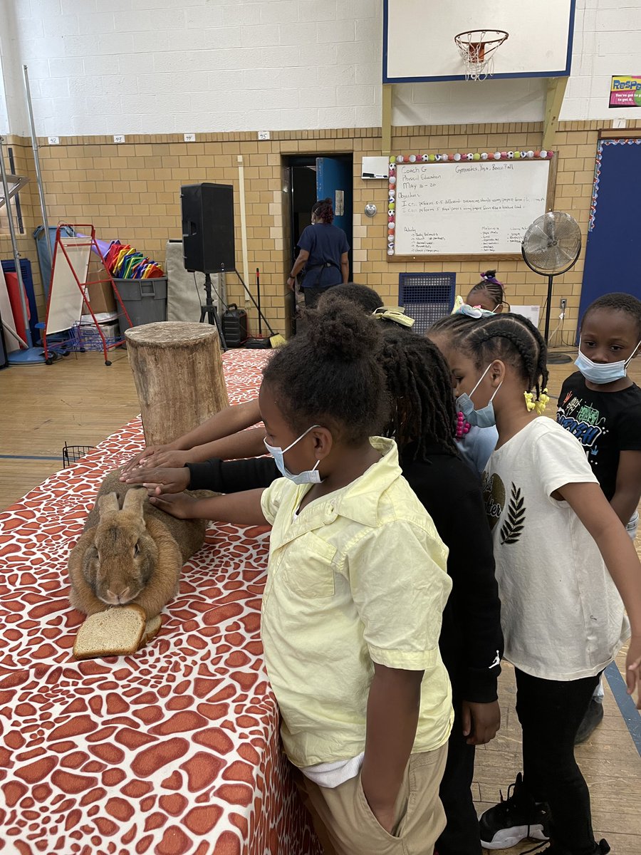 Wayne_DPSCD's tweet photo. Our students at Wayne got up close and personal to check out some animals from the Exotic Zoo! 🚀
#DPSCD https://t.co/3UlENBa94C