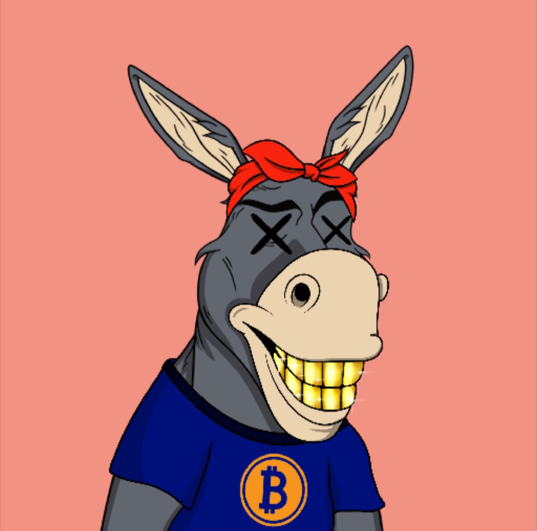 GeluRada's tweet photo. @cryptoege_ @trippinapes No TAT, we went full #DAGBO @DegenDonkeyDAO #SolanaNFT #SolanaSummer https://t.co/sLvHZyXVRa