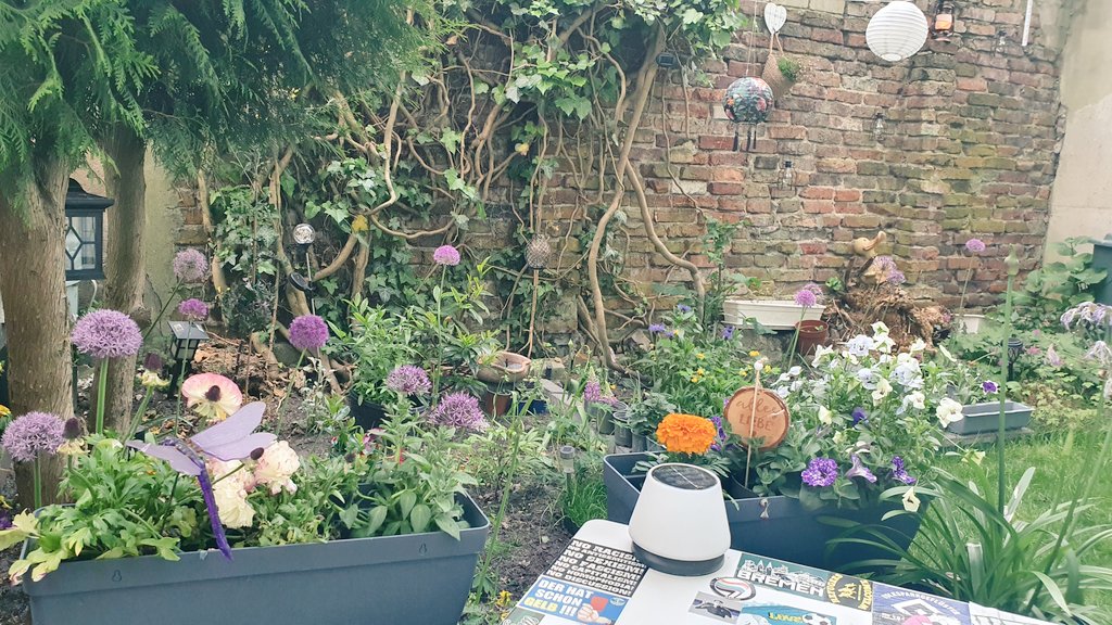 puschi22's tweet photo. Irgendwer möge mir jetzt bitte ein #Gartenbier bringen. Danke. https://t.co/herhyjku9v