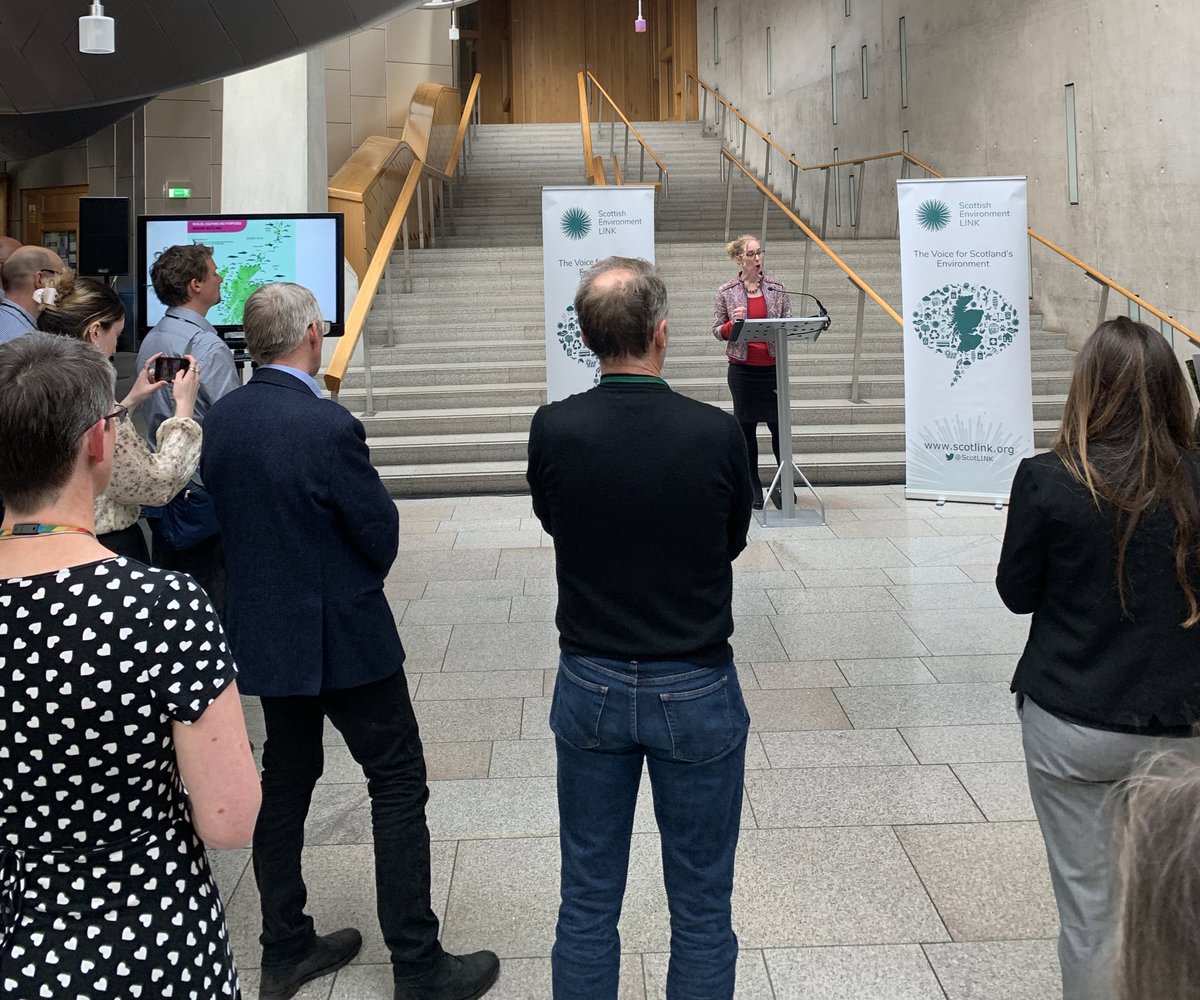 arina_WWF's tweet photo. Now @lornaslater Minister for Green Skills, Circular Economy and Biodiversity stating she wants new stories of ecosystems restored incl. restored #nativewoods! We all want to join on the endeavour to restore nature https://t.co/LeQSB0R3HJ