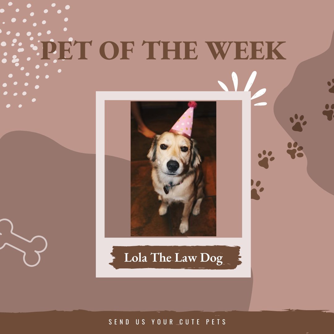 What Is The Symbolic Meaning Of A Dog