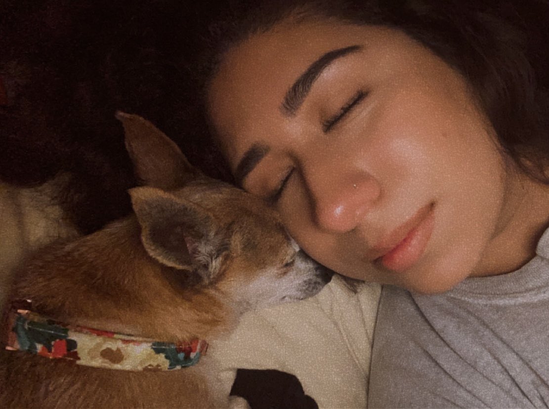 oremac7's tweet photo. Yesterday I lost my fur baby, thank you for being by my side since ‘08. I couldn’t have asked for a better bestie, I loved all of our adventures together. Thank you to all of our friends that were kind &amp; playful to my chacha. My heart is shattered…🥺🤍🕊 https://t.co/S5hsstuFqW